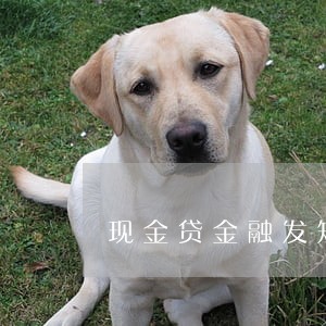 现金贷金融发短信逾期 现金贷金融发短信逾期