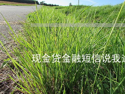 现金贷金融短信说我逾期 现金贷金融短信说我逾期