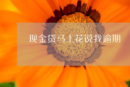 现金贷马上花说我逾期 现金贷马上花说我逾期