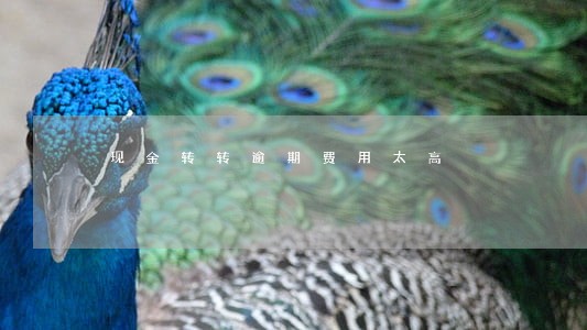 现金转转逾期费用太高 现金转转逾期费用太高