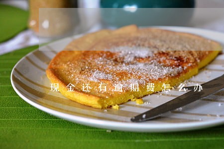 现金还有逾期费怎么办