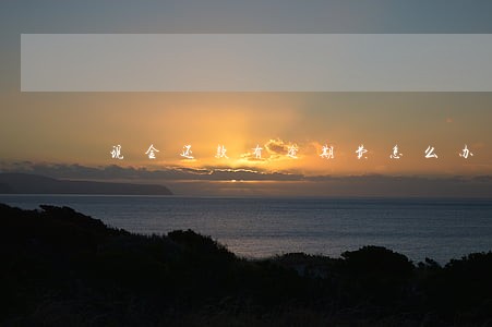 现金还款有逾期费怎么办 现金还款有逾期费怎么办