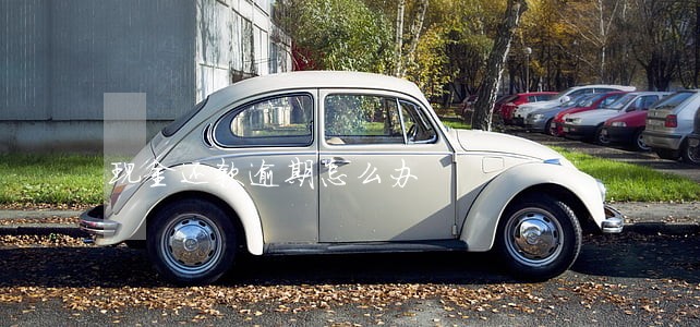 现金还款逾期怎么办 现金还款逾期怎么办
