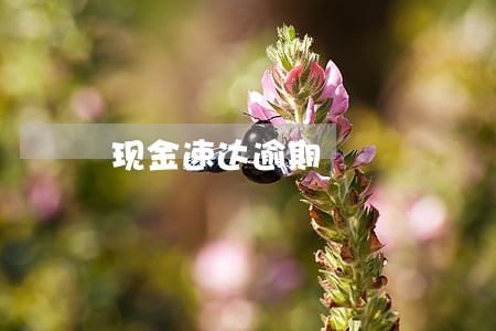 现金速达逾期