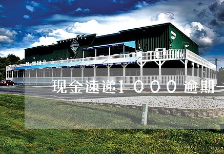 现金速递1000逾期一年 现金速递1000逾期一年