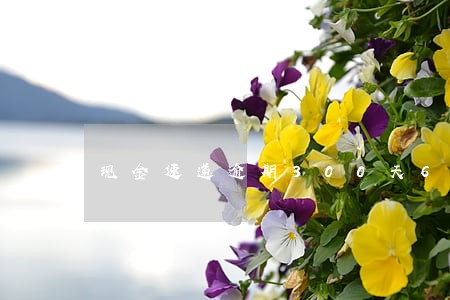 现金速递逾期300天6 现金速递逾期300天6