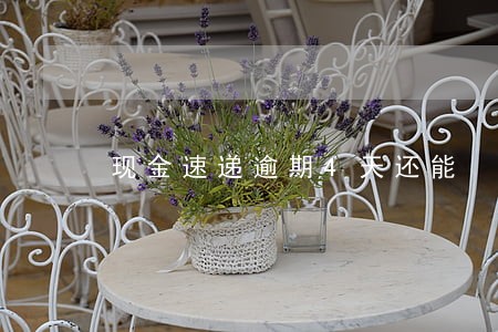 现金速递逾期4天还能 现金速递逾期4天还能