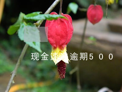 现金速递逾期500 现金速递逾期500