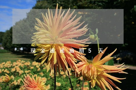 现金速递逾期5天