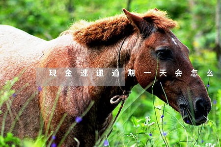 现金速递逾期一天会怎么样 现金速递逾期一天会怎么样