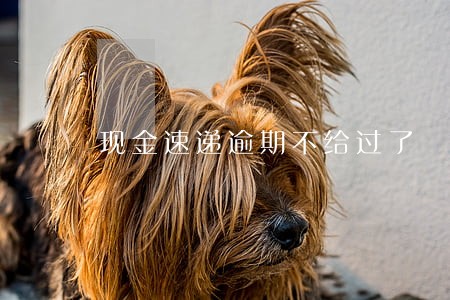 现金速递逾期不给过了 现金速递逾期不给过了