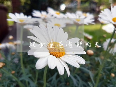 现金速递逾期两天 现金速递逾期两天