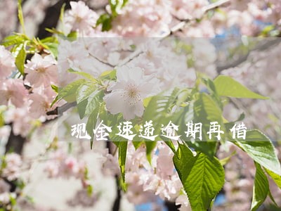 现金速递逾期再借 现金速递逾期再借