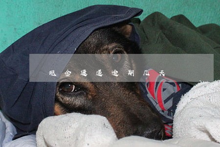 现金速递逾期几天 现金速递逾期几天