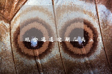 现金速递逾期几天上门 现金速递逾期几天上门
