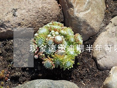 现金速递逾期半年可以吗 现金速递逾期半年可以吗