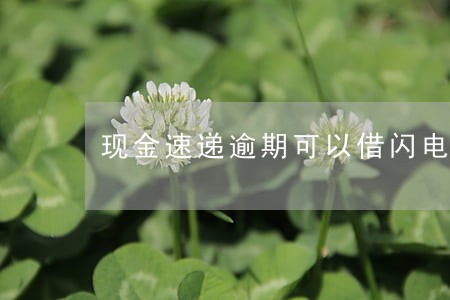 现金速递逾期可以借闪电 现金速递逾期可以借闪电