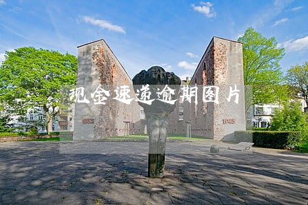 现金速递逾期图片 现金速递逾期图片