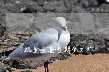 现金速递逾期多久炸 现金速递逾期多久炸