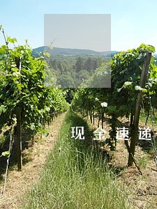 现金速递逾期收费合理 现金速递逾期收费合理