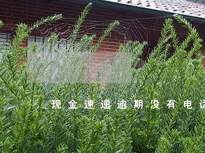 现金速递逾期没有电话 现金速递逾期没有电话