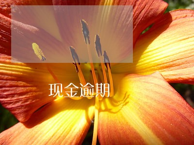 现金逾期