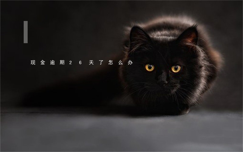 现金逾期26天了怎么办 现金逾期26天了怎么办