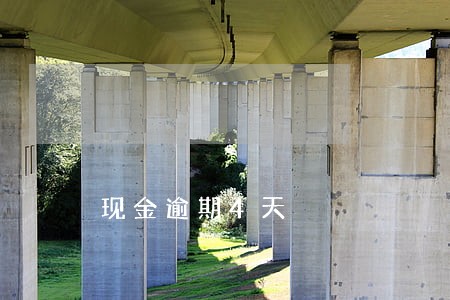 现金逾期4天