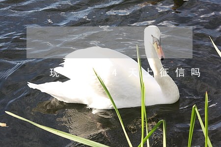 现金逾期4天上征信吗 现金逾期4天上征信吗