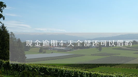 现金逾期4天全部还可以借吗 现金逾期4天全部还可以借吗