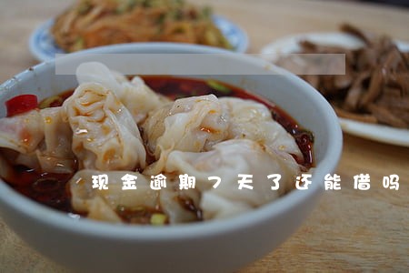 现金逾期7天了还能借吗 现金逾期7天了还能借吗