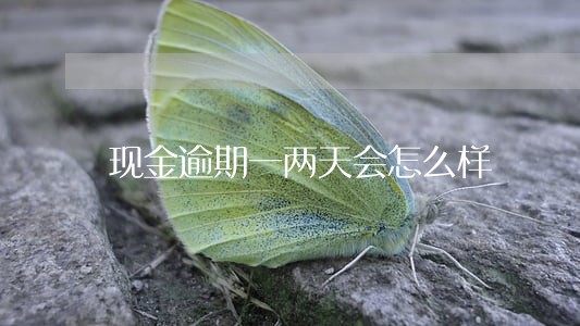 现金逾期一两天会怎么样