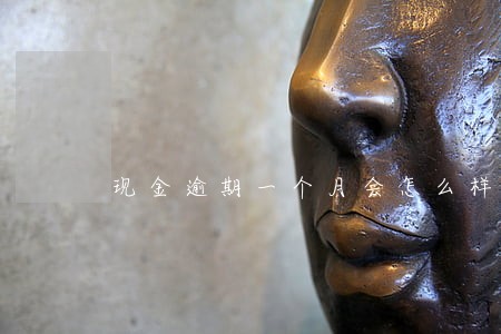 现金逾期一个月会怎么样