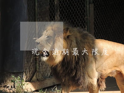 现金逾期最大限度 现金逾期最大限度