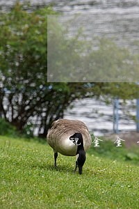 现金金卡逾期一天轰炸 现金金卡逾期一天轰炸