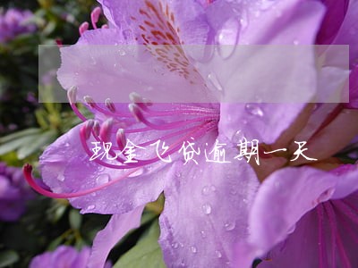 现金飞贷逾期一天 现金飞贷逾期一天