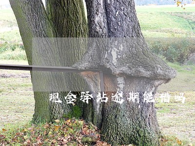 现金驿站逾期能借吗 现金驿站逾期能借吗