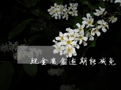 现金魔盒逾期能减免 现金魔盒逾期能减免