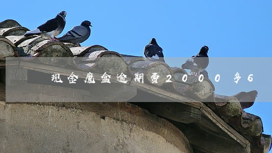 现金魔盒逾期费2000多6 现金魔盒逾期费2000多6