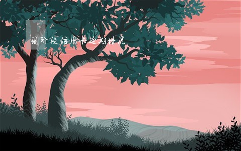 现阶段信用卡逾期情况 现阶段信用卡逾期情况
