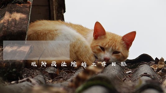 现阶段法院的工作目标 现阶段法院的工作目标