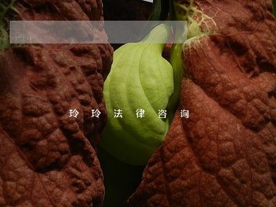 玲玲法律咨询 玲玲法律咨询