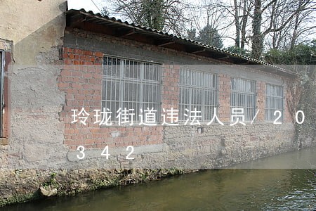 玲珑街道违法人员/2023020488342 玲珑街道违法人员/2023020488342