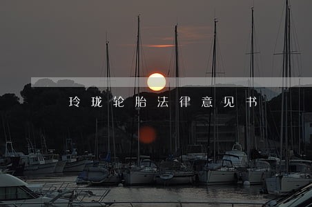 玲珑轮胎法律意见书 玲珑轮胎法律意见书