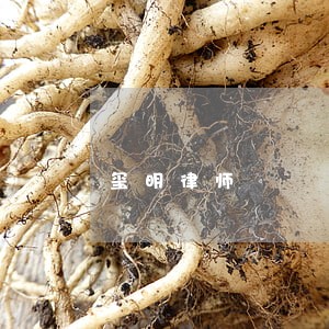 玺明律师 玺明律师
