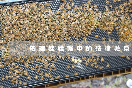 玻璃娃娃案中的法律关系 玻璃娃娃案中的法律关系