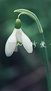 珍爱信用远离逾期图片 珍爱信用远离逾期图片
