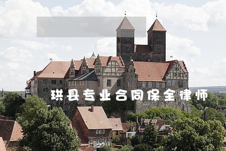 珙县专业合同保全律师