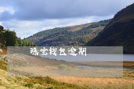 珠宝钱包逾期 珠宝钱包逾期