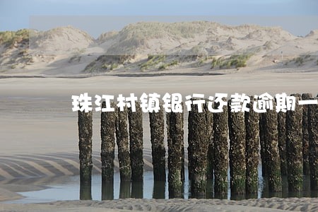 珠江村镇银行还款逾期一天 珠江村镇银行还款逾期一天